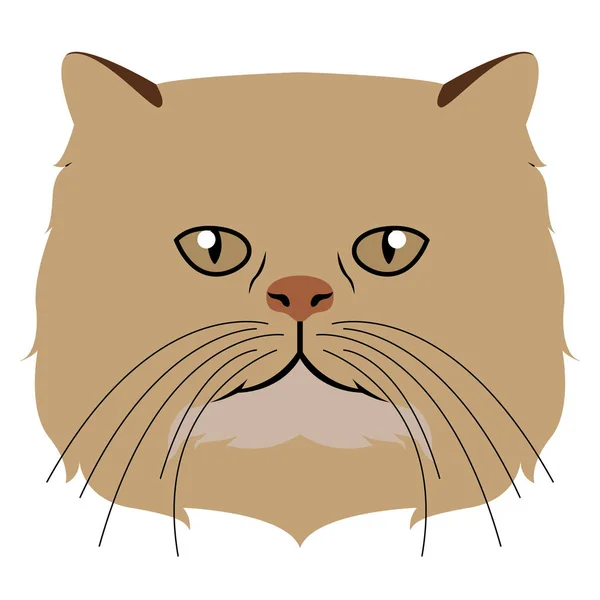 Persian cat avatar. Cat breeds — Stock Vector