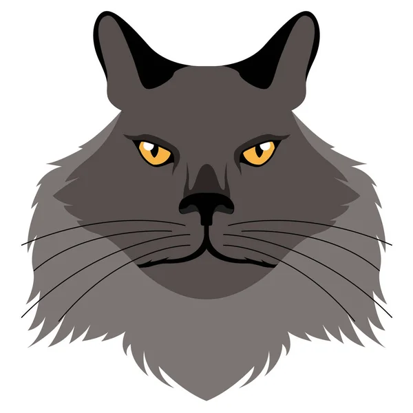 Isolated Chantilly Tiffany Cat Avatar Vector Illustration Design — Stock Vector
