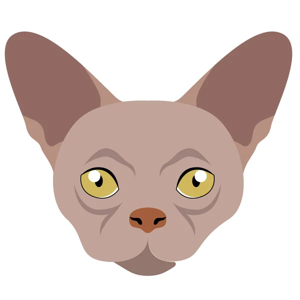 Avatar de gato Donskoy. Raças de gato — Vetor de Stock