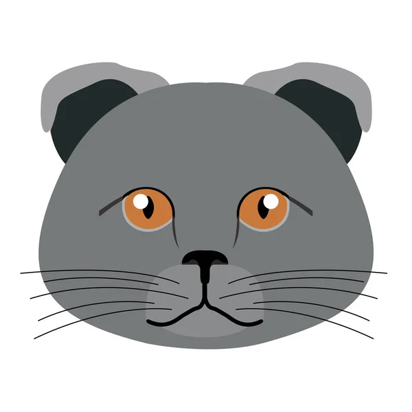 Scottish fold cat avatar. Cat breeds — Stock Vector