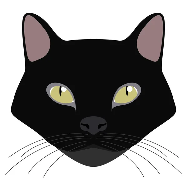 Bombay cat avatar. Cat breeds — Stock Vector