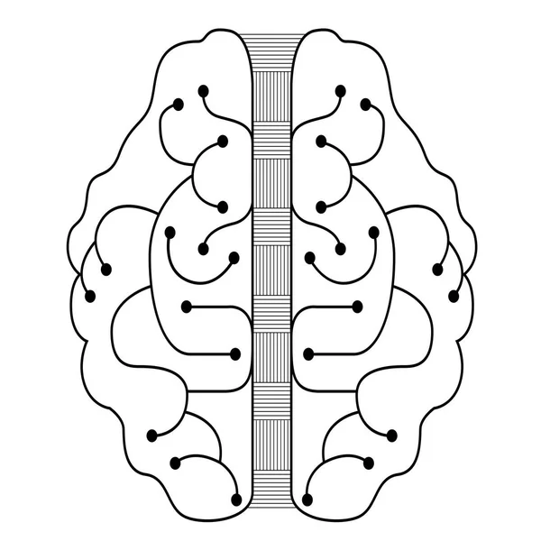 Desenho cerebral linear —  Vetores de Stock