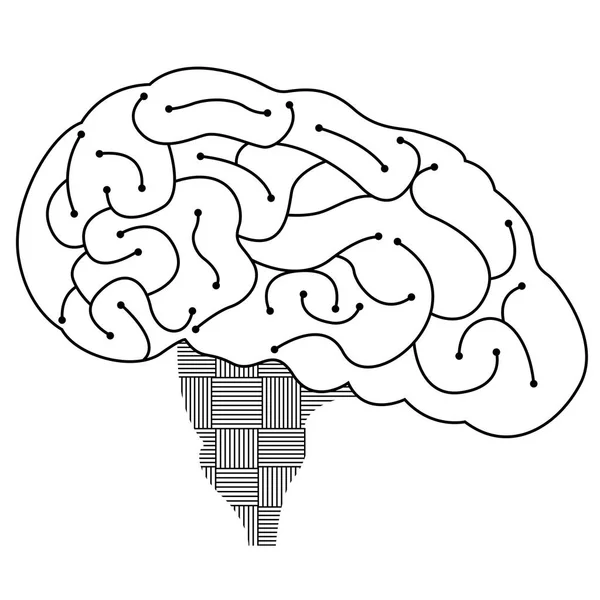 Desenho cerebral linear — Vetor de Stock