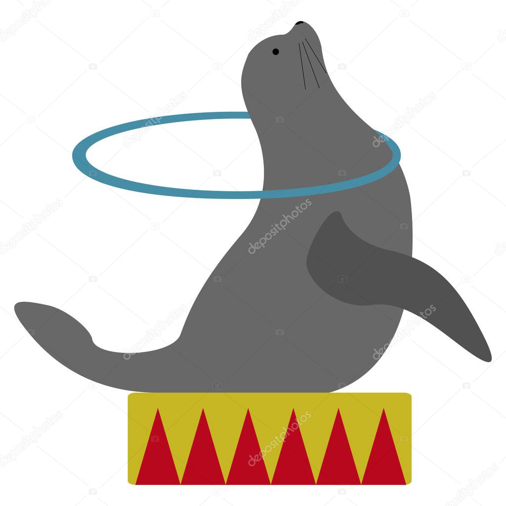 Isolated circus seal