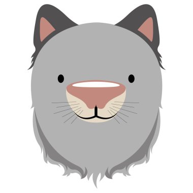 İzole şirin kedi avatar