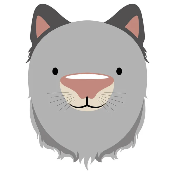 Isolerade söt katt avatar — Stock vektor