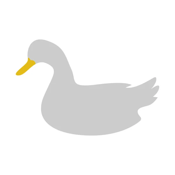 Izolované kachna ikona — Stockový vektor