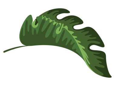 Renkli tropikal yaprak simgesi