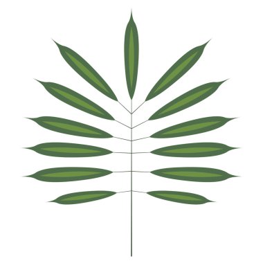 Renkli tropikal yaprak simgesi