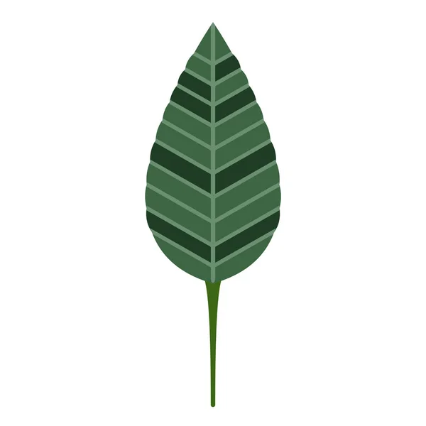 Красочная икона тропического листа — стоковый вектор
