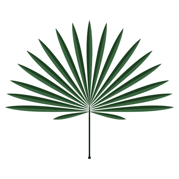 Icono colorido de hoja tropical — Vector de stock