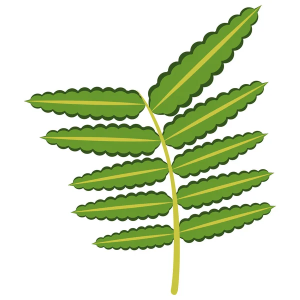 Icono colorido de hoja tropical — Vector de stock