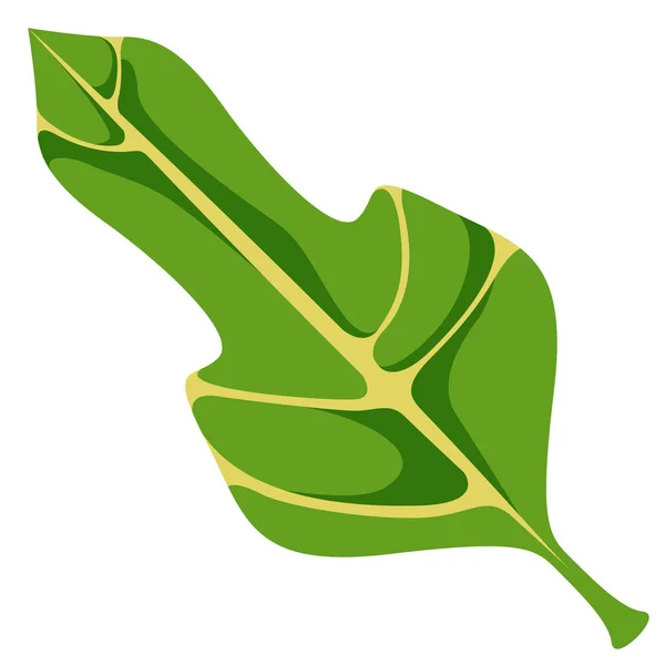 Kleurrijke tropische blad pictogram — Stockvector