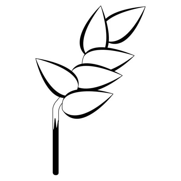 五颜六色的热带花卉图标 矢量插画设计 — 图库矢量图片