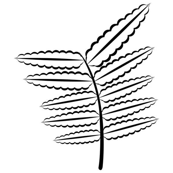 Kleurrijke tropische blad pictogram — Stockvector