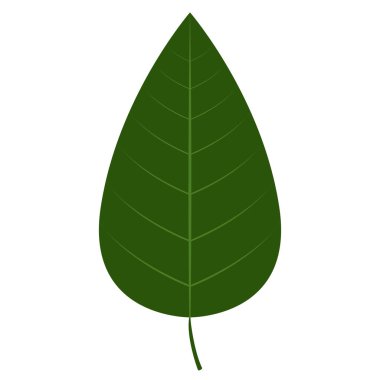 Sonbahar yaprak görüntü izole. Vektör çizim tasarım