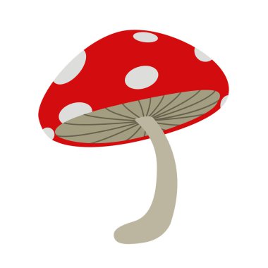 İzole kırmızı mantar