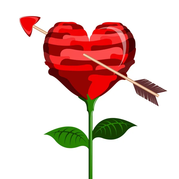 Herzförmige Blume mit einem Amor-Pfeil — Stockvektor