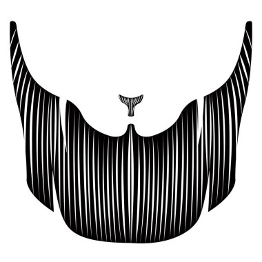 İzole detaylı sakal