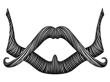 İzole detaylı sakal