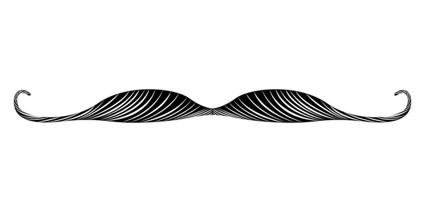 Ізольована докладні вуса — стоковий вектор