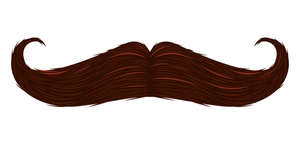 Ізольована докладні вуса — стоковий вектор