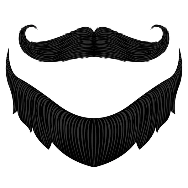 Ізольована докладні Борода — стоковий вектор