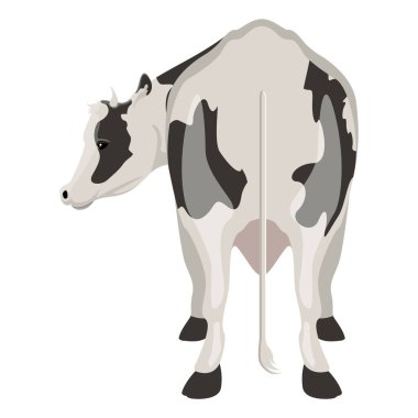 Dikiz bir inek. Çiftlik hayvanı