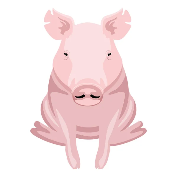 Vista frontal de un cerdo sentado. Animales de granja — Vector de stock