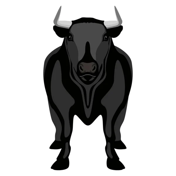 Vista frontal de un toro. Animales de granja — Vector de stock