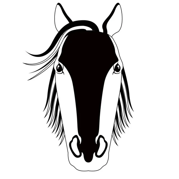 Silhouette of a horse head. Farm animal — Stock Vector