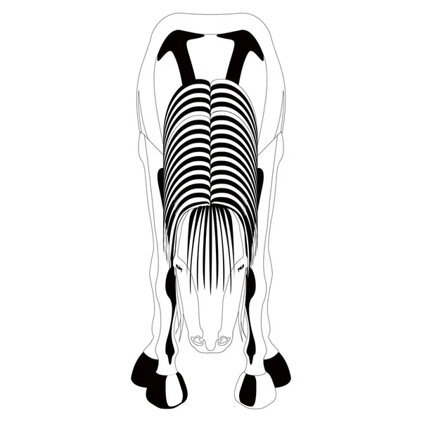 Vista frontal de un caballo. Silueta — Archivo Imágenes Vectoriales