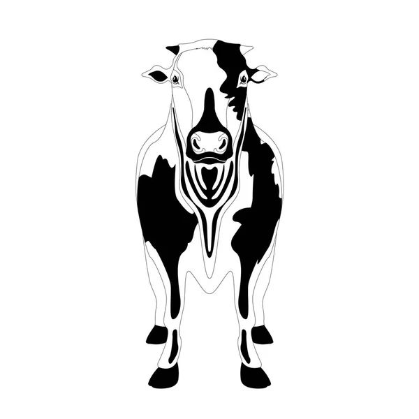 Čelní pohled na krávy. Silueta — Stockový vektor