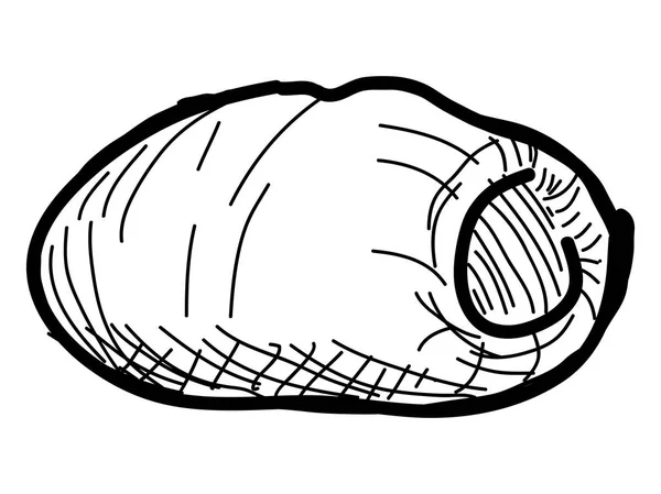 Esbozo vintage aislado de un croissant de salchicha — Vector de stock