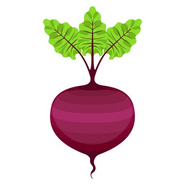 İzole pancar simgesi