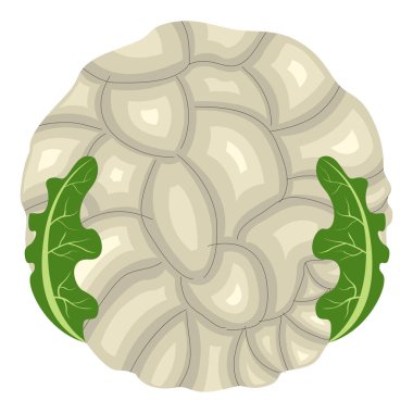 İzole edilmiş karnabahar simgesi