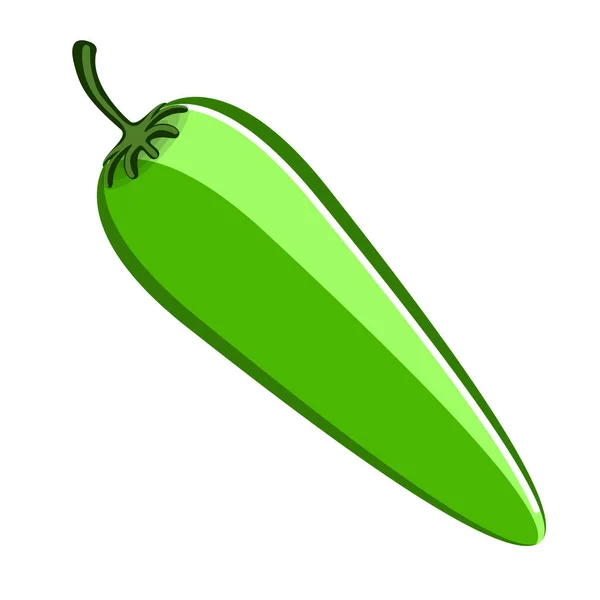 Grön chilipeppar — Stock vektor