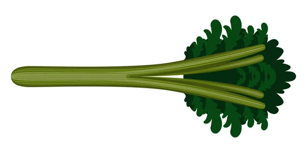 孤立的芹菜图标 — 图库矢量图片