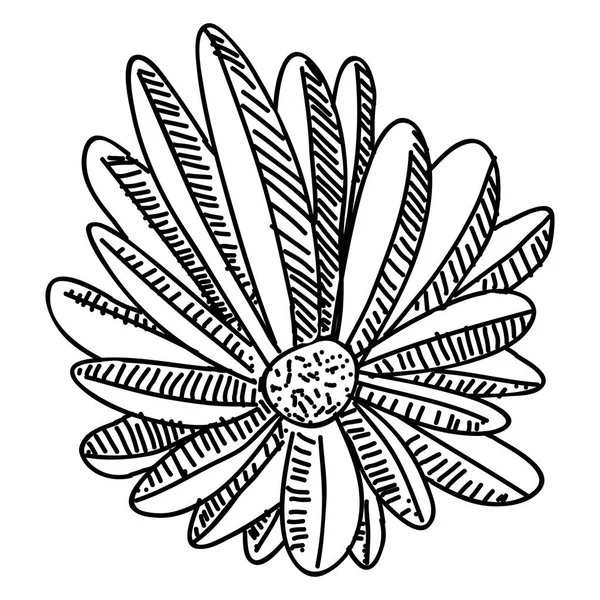 Enskild skiss av en blomma — Stock vektor