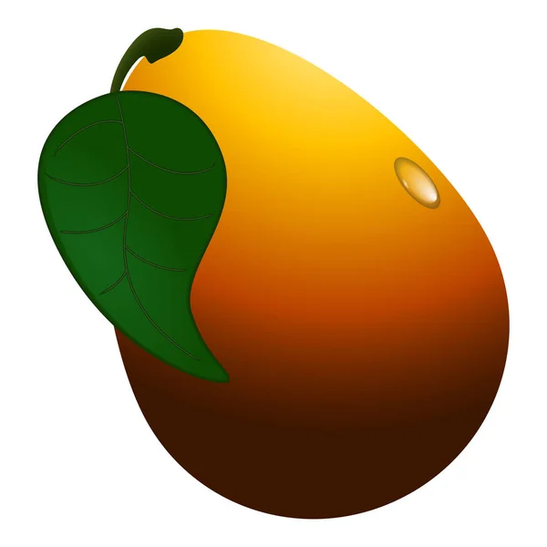 Obraz z mango na białym tle — Wektor stockowy