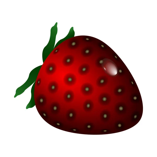 Image de fraise isolée — Image vectorielle