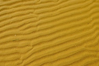 Sahildeki sarı kum dalgalarının dokusu yukarıdan çekiliyor. Arkaplan ya da duvar kağıtları için ideal.