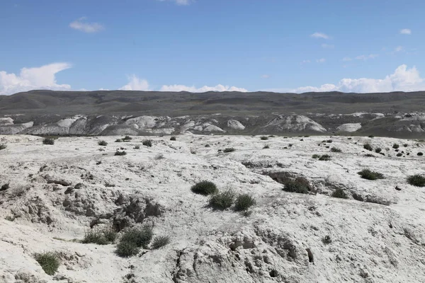 Altai Cumhuriyeti Ndeki Chagan Uzun Manzarası Havalandırma Kabuğu — Stok fotoğraf