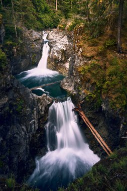 Little Qualicum Falls İl Parkı