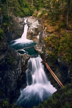 Little Qualicum Falls Provincial Park clipart