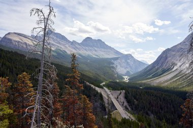 Kanada 'da Icefield Parkway manzarası