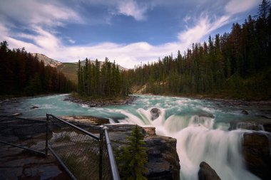 Sunwapta falls in the Canadia Rockies clipart