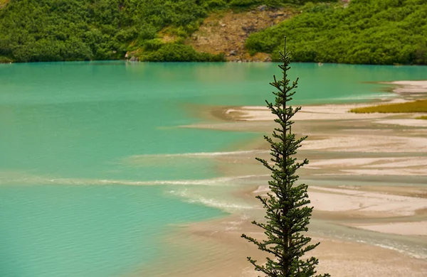 加拿大路易湖的详细情况 — 图库照片