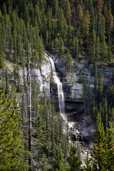加拿大Icefields Parkway的Bridal Veil瀑布景观 — 图库照片