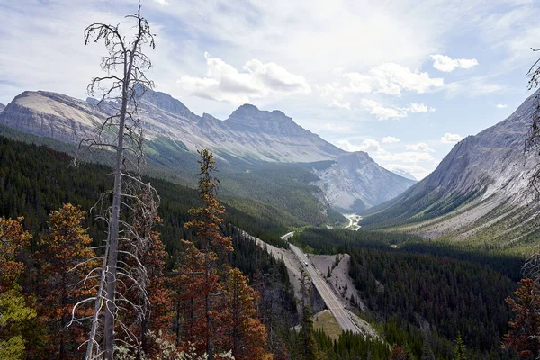 Vista Icefield Parkway Canada — Foto Stock